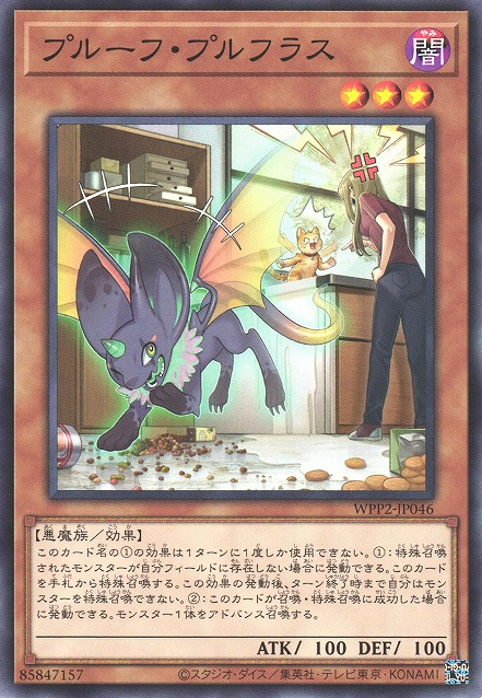 Proof of Pruflas [WPP2-JP046-C]