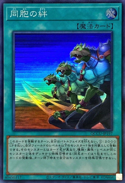 同胞の絆 [QCCU-JP197-SR]