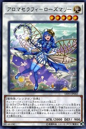 Aromaseraphy Rosemary [LVP3-JP042-R]