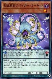 捕食植物スパイダーオーキッド [LVP3-JP075-C]