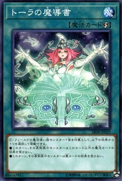 叡智の魔導書(共通) [SR08-JP029-C]