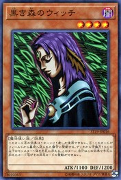 Witch of the Black Forest (Common) [ST19-JP016-C]