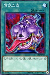 Pot of Avarice (Common) [ST19-JP030-C]