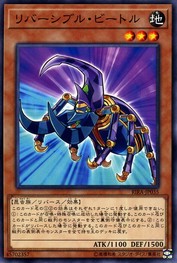 Reversible Beetle [RIRA-JP035-C]