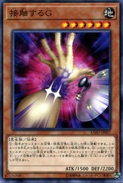 Contact "C" [EXFO-JP037-NR]