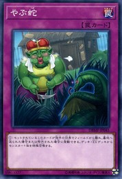 Waking the Dragon [DBMF-JP045-C]