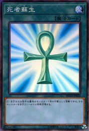 몬스터 리본 [RC03-JP033-CR]