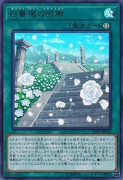 화이트 로즈 클로이스터 [20PP-JP011-UR]