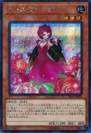 ローズプリンセス [20PP-JP007-SCR]