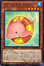 フラッファルドルフィン [ROTD-JP021-C]
