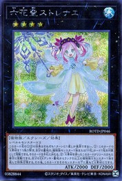 Strenae the Rikka Queen [ROTD-JP046-SCR]