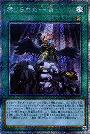 禁断の雫 [ROTD-JP065-PSCR]