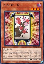 Flower Cardian Cherry Blossom [CP20-JP029-C]