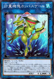 家電用カッパスケール [CP20-JP039-C]