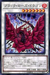 Black Rose Dragon [DP21-JP028-C]