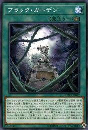 블랙 가든 [DP21-JP032-C]