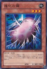 Cocoon of Evolution [BE01-JP125-C]