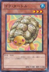 Gora Turtle [BE02-JP174-C] – Cardingedge