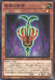 선시드 섀도우 [SLT1-JP029-C]