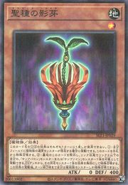 선시드 섀도우 [SLT1-JP029-NPR]