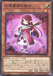 Witch of the Blood Rose [LIOV-JP010-C]