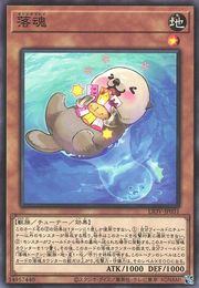Otoshidamashii [LIOV-JP031-NR]