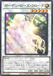 Garden Rose Flora [LIOV-JP036-R]