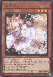 アッシュブロッサム＆ジョイアススプリング [PAC1-JP016-SCR]