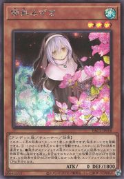 고스트 시스터 &amp; 스푸키 도그우드(대체 아트) [PAC1-JP018-AA-SCR]