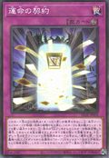 Contract of Destiny [SD42-JP036-NPR]