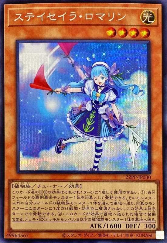 스테이세일러 로마린 [22PP-JP030-SCR]