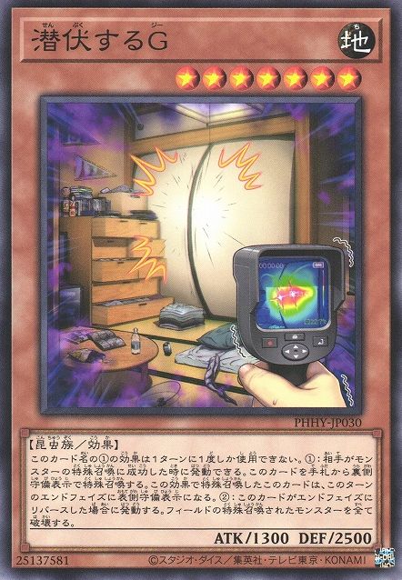 隠れC【PHHY-JP030-NR】