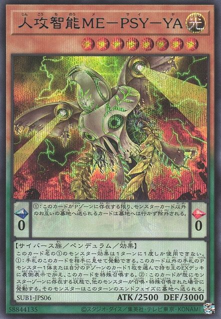 対人知性体 ME-PSY-YA [SUB1-JPS06-SCR]