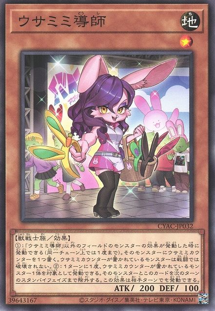 Bunny Instruct-ear [CYAC-JP032-NR]