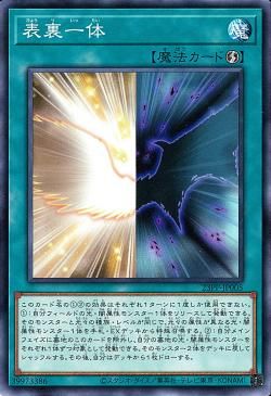 이중성 [23PP-JP005-C]