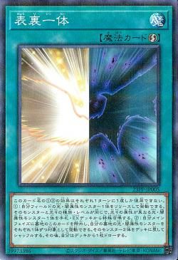 Duality [23PP-JP005-NPR]