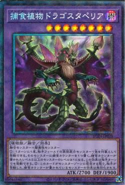 Predaplant Dragostapelia [RC04-JP028-CR]