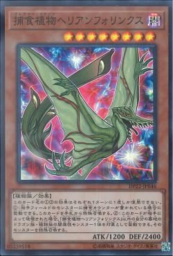 포식식물 헬리암포린쿠스 [DP22-JP046-SR]