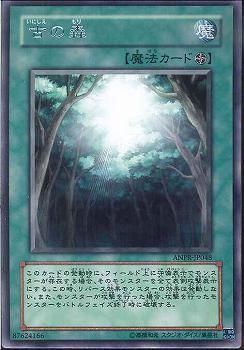 古代の森 [ANPR-JP048-R]