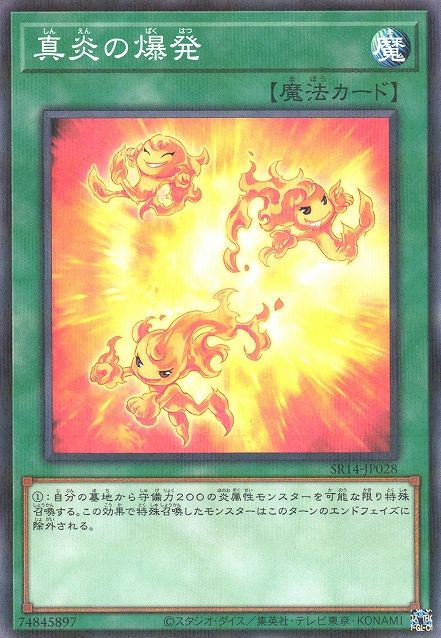 재불 [SR14-JP028-NPR]