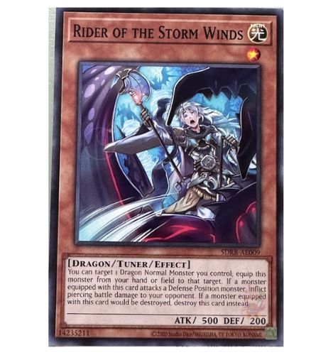 Rider of the Storm Winds [SDRB-AE009-C]