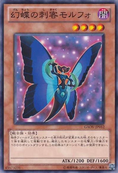 Morpho Butterspy [GAOV-JP012-C]