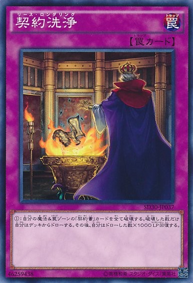 コントラクトロンダリング [SD30-JP037-CC]