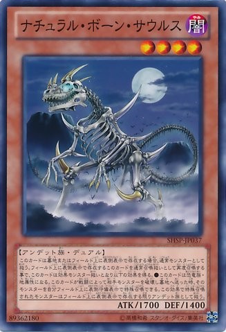 Skelesaurus [SHSP-JP037-C]
