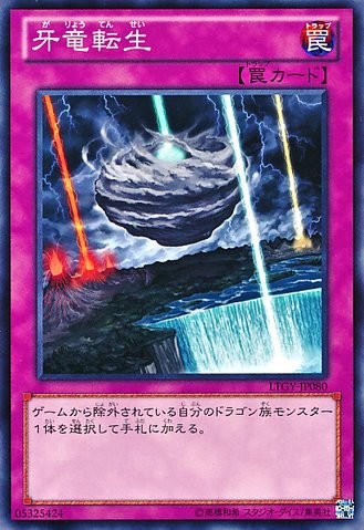 ドラゴンカーネーション [LTGY-JP080-NR]