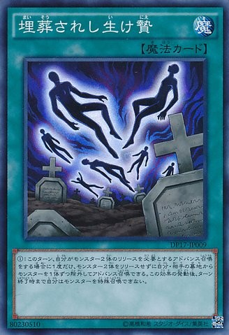 貢物埋葬 [DP17-JP009-SR]