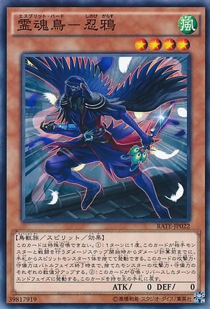 Esprit Bird - Shinobi Garasu [RATE-JP022-C]