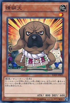 Yokotuner [RATE-JP031-C]