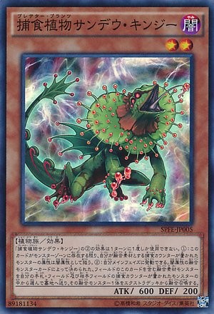 Predaplant Sundew Kingii [SPFE-JP005-SR-SR]