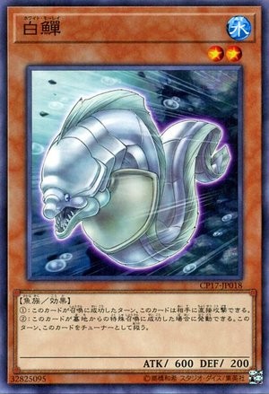 White Moray [CP17-JP018-C]
